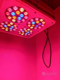 Armadio grow box in alluminio con lampada led