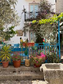 Casa con cortiletto
