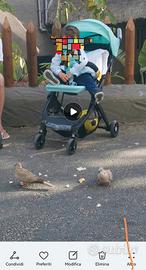 2 Passeggini 