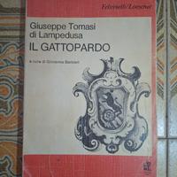 Romanzo "Il gattopardo" - G. T. Di Lampedusa