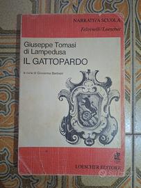 Romanzo "Il gattopardo" - G. T. Di Lampedusa