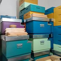 Arnia Nomadismo con Melario e Telaini Inclusi