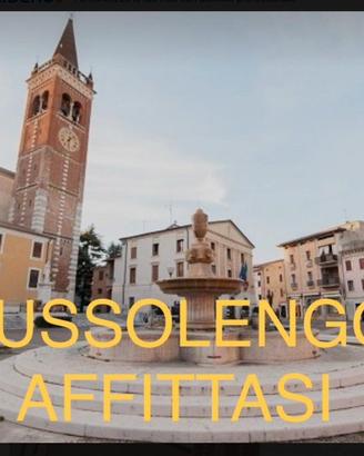 Bussolengo-trilocale