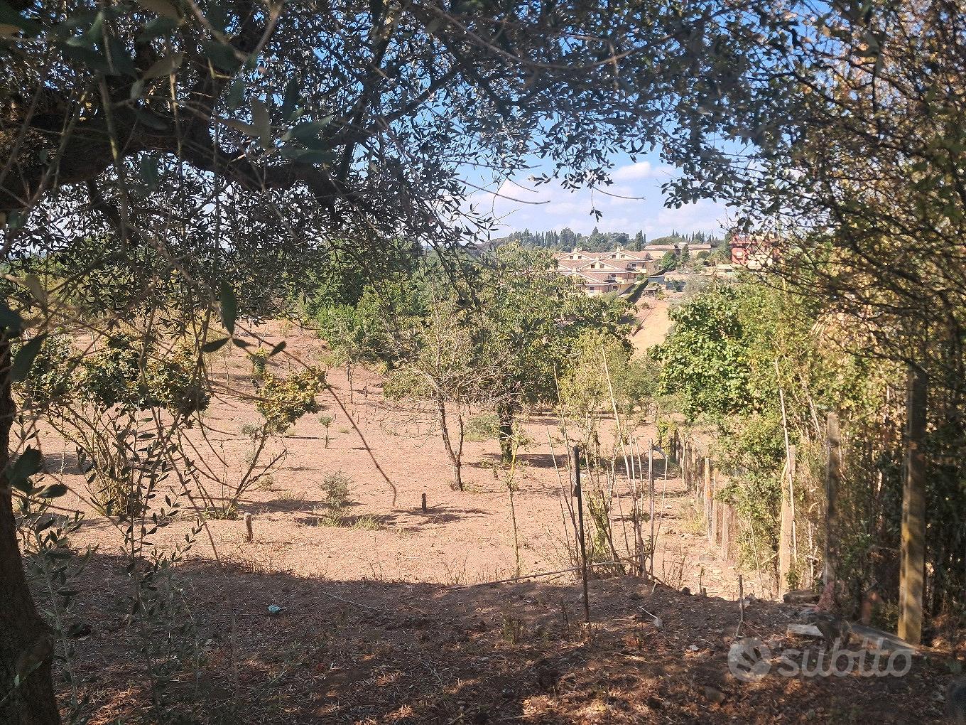 Terreno agricolo coltivato - Vista 3