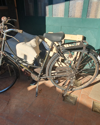 Bici da donna