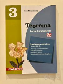 Libro “Teorema 3 corso di matematica”