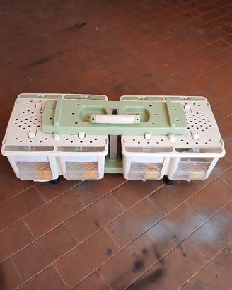 trasportino uccelli con tortore diamantine 
