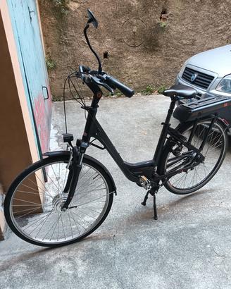 bici elettrica 