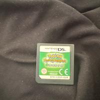 Pokemon Nintendo Ds