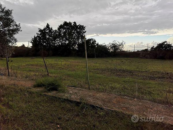 Rustico c/2 con ampio terreno di 4250 mq - Altro