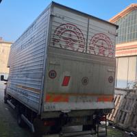 Camion furgonato IVECO 50C 13 con sponda idraulica