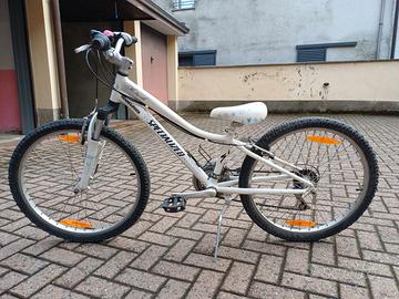 Specialized Hotrock 24