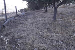 Terreno Agricolo