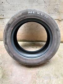 pneumatico nexen