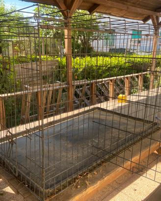 Kennel pieghevole exta large