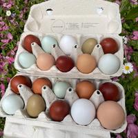 Uova galline Araucana, Legbar, Oliver, Marans