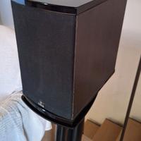 Diffusori Platinum audio