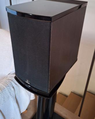 Diffusori Platinum audio