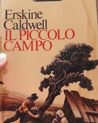 Il Piccolo Campo di Erskine Caldwell