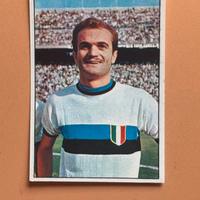 Figurina nuova Sandro Mazzola valida panini