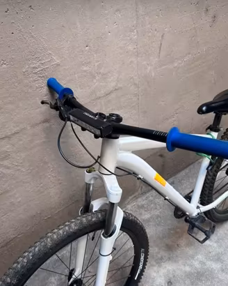 Bici da impennata mtb