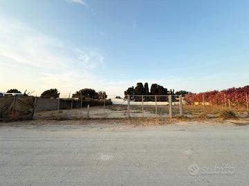 Terreno agricolo Medau Su Cramu