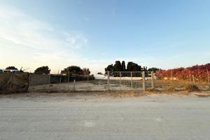 Terreno agricolo Medau Su Cramu