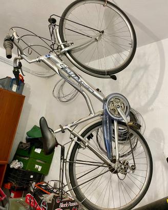 Bici sportler