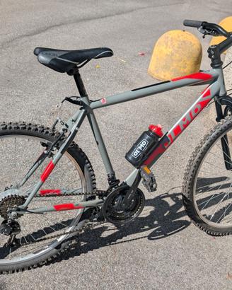 Bici da ragazzo Olmo grigia e rossa