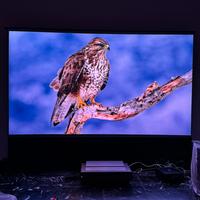 Telo ALR UST 100” motorizzato - LEGGI BENE