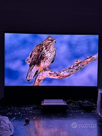 Telo ALR UST 100” motorizzato - LEGGI BENE