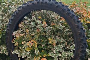 gomma cross mitas terra force ef 90-100-21 nuova