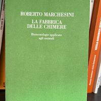 LA FABBRICA DELLE CHIMERE