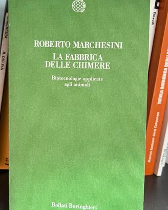 LA FABBRICA DELLE CHIMERE