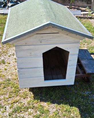 Cuccia per cani.