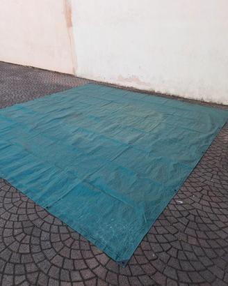 telo occhiellato