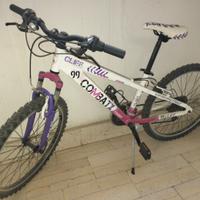 bicicletta professionale 24