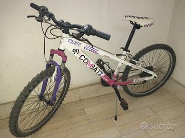 bicicletta professionale 24