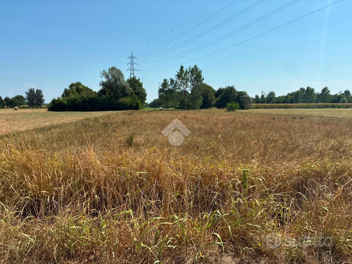 TER. AGRICOLO A CORBETTA - Vista 3