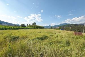 Terreno agricolo a Pergine