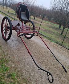 Carrozza Gig da allenamento