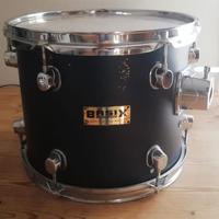 Tom Basix Concept Series 12x10