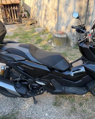 HONDA ADV 350