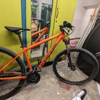 Focus da adulto, colore arancione