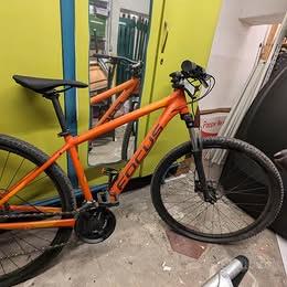 Focus da adulto, colore arancione