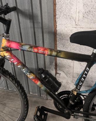 2 biciclette
