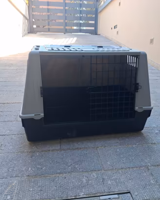 Trasportino per auto per cani