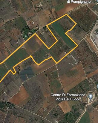 Terreno agricolo presicce - torre mozza