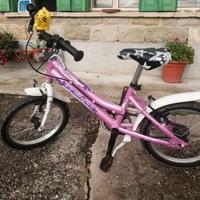 Bicicletta da bambina