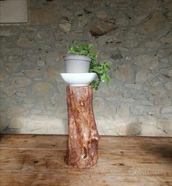 ceppo in legno d'ulivo 